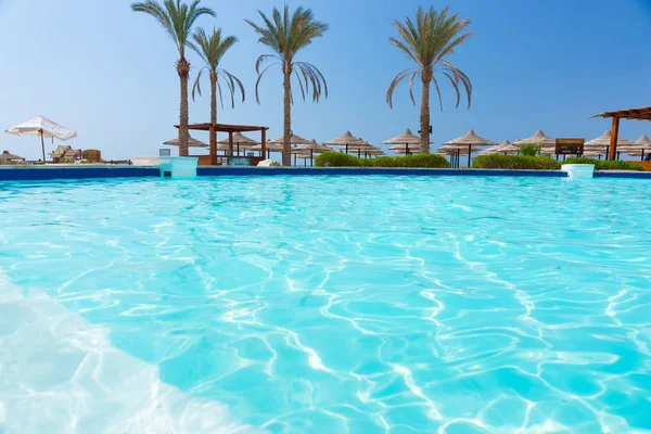 Zwembad met palmbomen in het hotel — Stockfoto