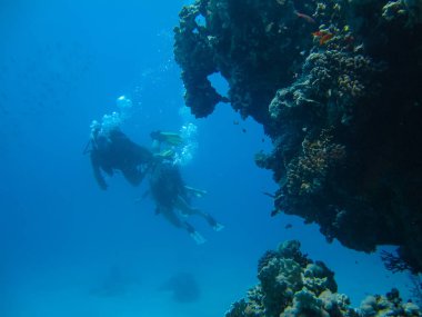 Bir çift insan resif yakınındaki tüplü dalış sualtı çekimi