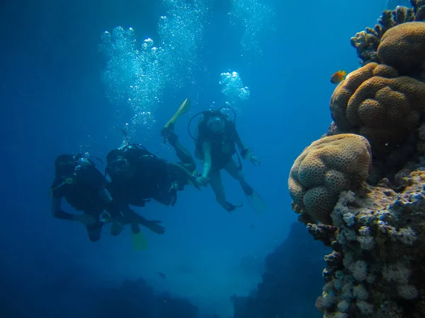 Tiro subaquático de um grupo de pessoas mergulhando com scuba — Fotografia de Stock