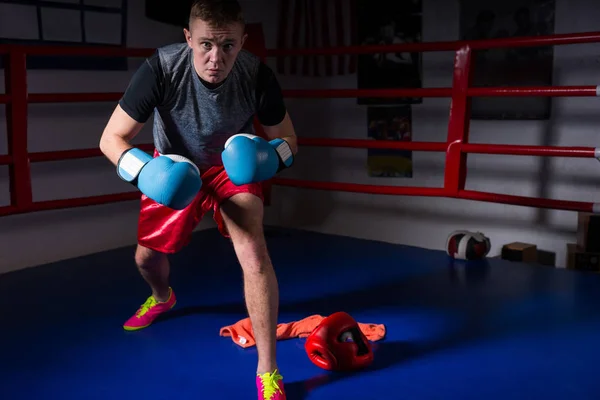 Boxeador deportivo masculino en guantes de boxeo se levanta y se prepara para la batalla —  Fotos de Stock