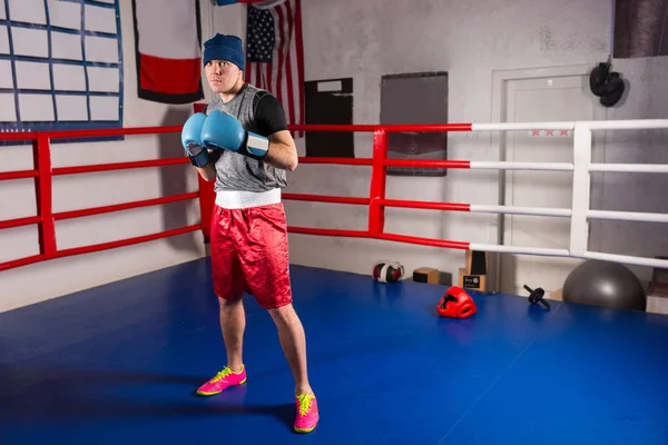 Young sporty male boxer in boxing gloves prepares for battle — Stock Photo, Image