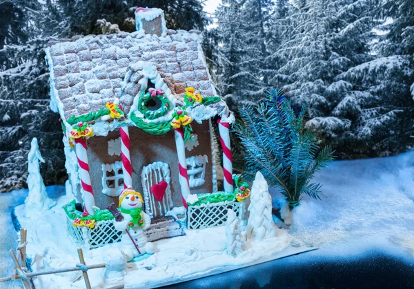 Snow-covered homemade gingerbread house, a sprig of Christmas tr — Stock Photo, Image