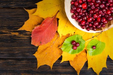 Yukarıdan biraz dağınık rowan çilek yatan nea bırakır