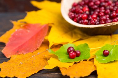 Biraz dağınık rowan çilek yapraklarda yatan yakın çekim 