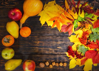 Rowan ve hasat yaşlı woode üzerinde güzel sonbahar arka plan