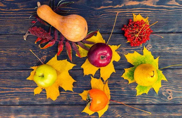 Bovenaanzicht van oogst van appels, peren, rowan, pompoen en persimmo — Stockfoto