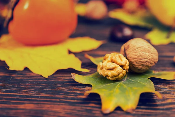 Close up van walnoten liggend op blad van de boom, herfst oogst als backgr — Stockfoto