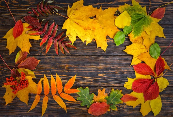 Fond automnal aux feuilles jaunes, rouges et vertes sur bois vieilli — Photo