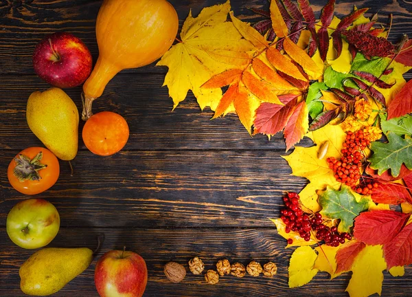 Rowan ve hasat yaşlı woode üzerinde güzel sonbahar arka plan