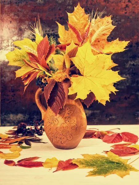 Clay jug with autumn leaves and wheat on white wooden desk — Stock Photo, Image