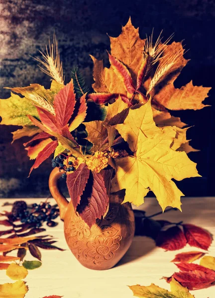 Beautiful clay jug with autumn leaves and wheat near scattered l — Stock Photo, Image