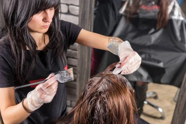 Top view of brunette hairdresser thoroughly dyeing hair of femal — Stock Photo, Image