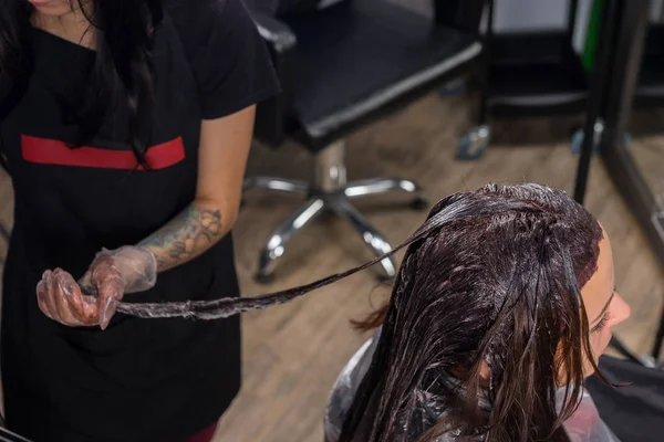 Bayan Kuaför iyice kadın müşteri kullanarak saç boyama — Stok fotoğraf