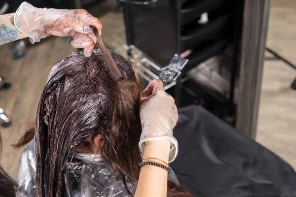 Hände des Friseurs gründlich färben Haare der weiblichen Kundin usi — Stockfoto
