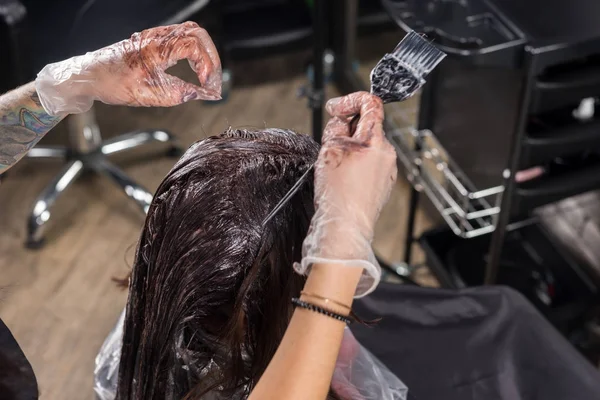 Молодая женщина парикмахер тщательно окрашивает волосы клиентки — стоковое фото