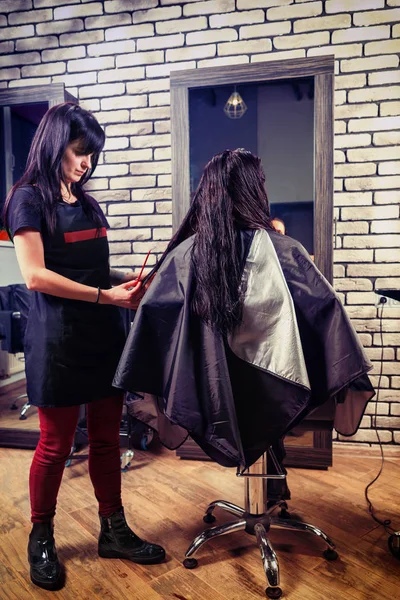 Female professional hairdresser combing hair of young beautiful — Stock Photo, Image