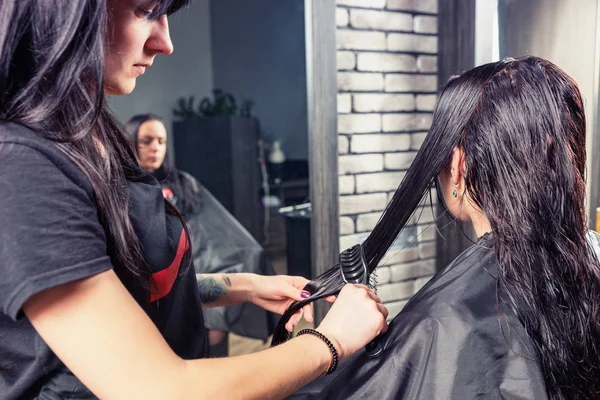 Parrucchiere professionista pettinando i capelli bagnati di giovani donne brune — Foto Stock