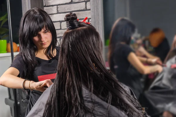 Parrucchiere professionista pettinando i capelli bagnati di giovani donne brune — Foto Stock