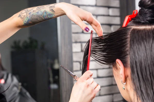 Cerca de manos de peluquero corte y modelado de cabello castaño por —  Fotos de Stock