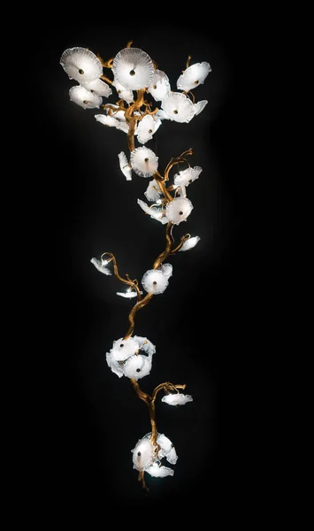 Large chandelier made in the form of a flower isolated on black — Stock Photo, Image