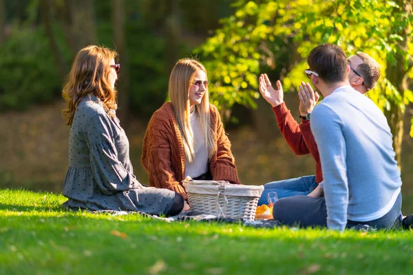 Groep gelukkige jongeren genieten van een picknick — Stockfoto