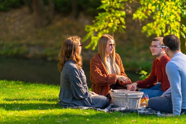 Groep jonge mannen en vrouwen op een picknick — Stockfoto