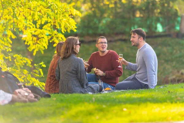 Fiatal barátok csoportja ünnepel egy parkban — Stock Fotó