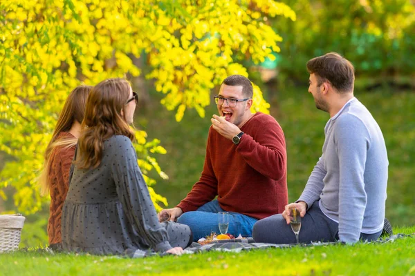 Egy baráti társaság ünnepel egy pikniken a parkban. — Stock Fotó