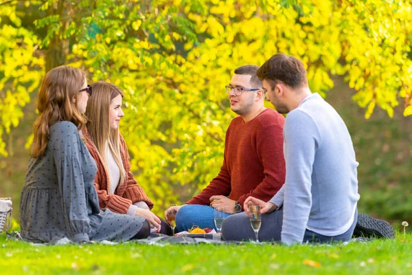 Deux jeunes couples buvant du champagne — Photo