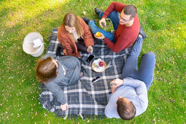 Overhead view of friends enjoying a picnic — Stock Photo, Image