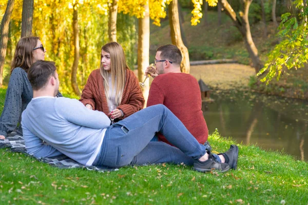 Group of four young people picnicking in a park — Stock Photo, Image