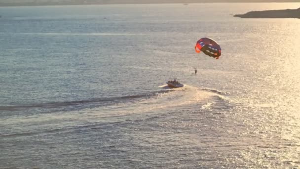 Speedboat bogsera en person under en fallskärm — Stockvideo