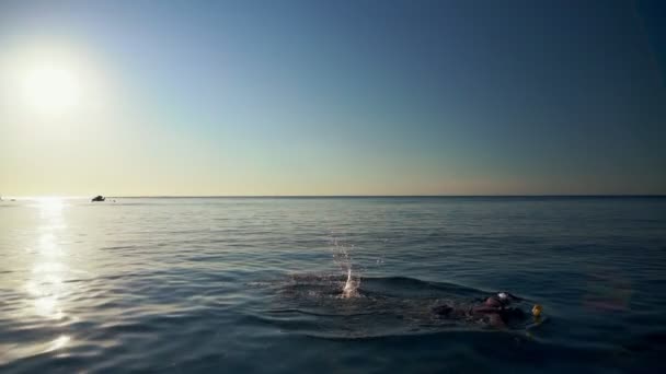 Person snorkeling and free diving on a coral reef — Stock Video