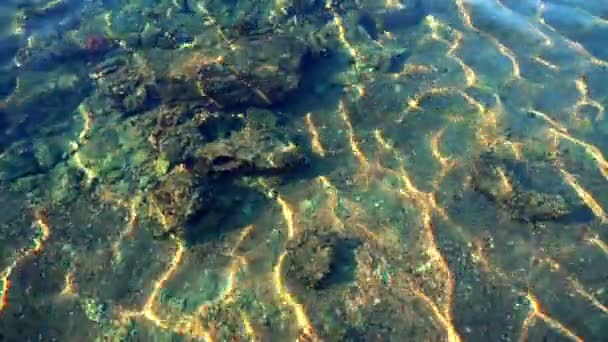 Patrones brillantes de luz solar en rocas poco profundas — Vídeo de stock