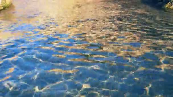 모래사장을 덮고 있는 반짝 이는 잔잔 한 태양 빛 바다 — 비디오