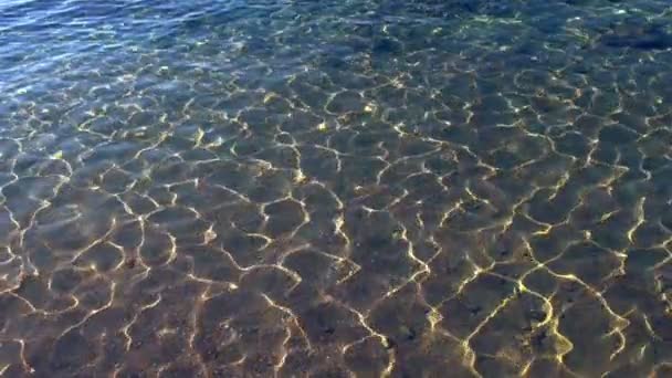 Réflexions scintillantes du soleil dans l'eau salée peu profonde — Video