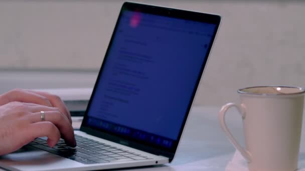 Bir dizüstü bilgisayarda çalışan bir iş adamı elinde — Stok video