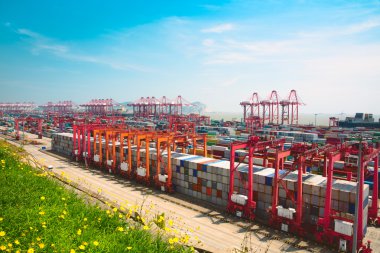 Shanghai Yangshan derin deniz bağlantı noktası