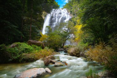 Sonbaharın başlangıcı