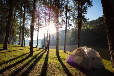 Kamp ve çadır altında çam ormanda günbatımı