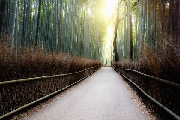 The arashiyama, Kyoto Stock Photo