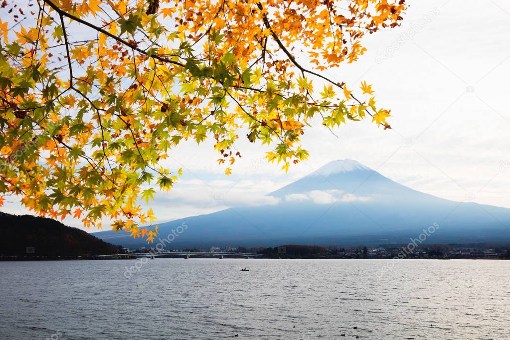 Mt fuji with autumn foliage