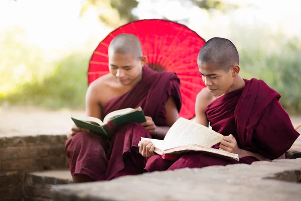 Young buddhist novice monk reading — Stock Photo, Image