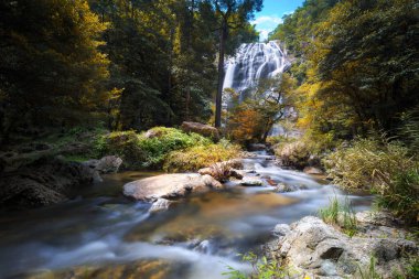 Sonbaharın başlangıcı