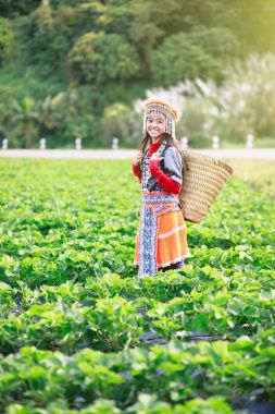 Çilek alan çiftlik