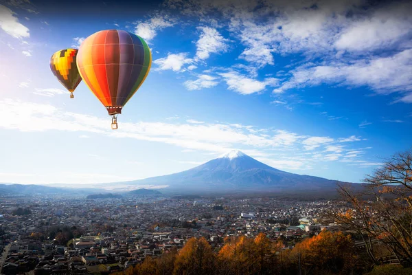 Ptaka Mt Fuji — Zdjęcie stockowe