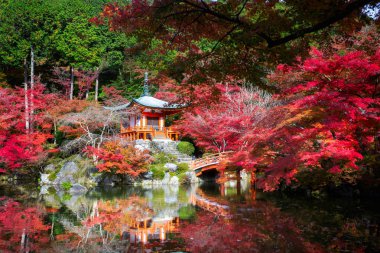 Daigoji tapınak sonbahar park