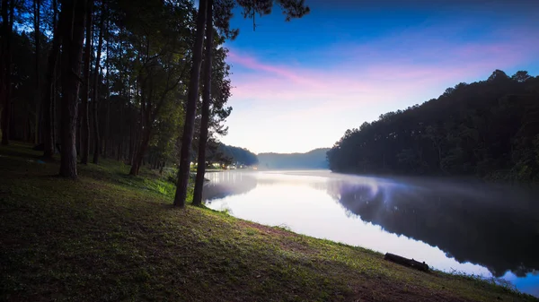 Gölet ile orman manzara sahne