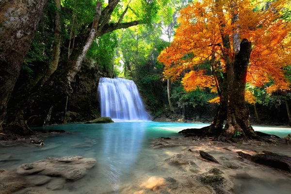 Tiefer Waldwasserfall — Stockfoto