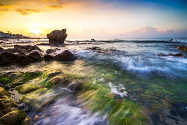 Garip kayalar ve yosun sabah